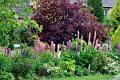 Gardens on the way